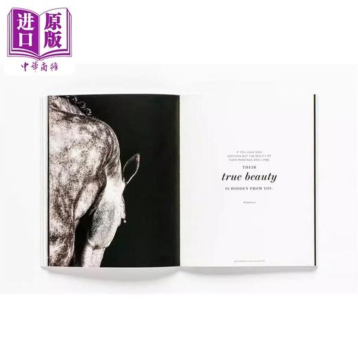 预售 【中商原版】The Book of the Horse 英文原版 马之书 知名艺术家绘画作品集 商品图3
