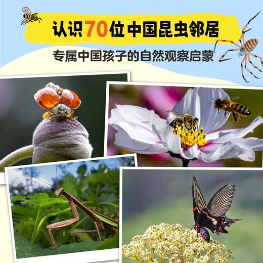 中国昆虫记（八位中国昆虫学者联手打造中国版《昆虫记》） 商品图1