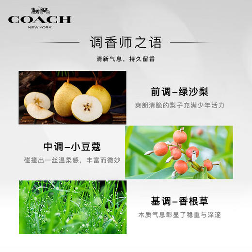 蔻驰摩登岩兰男土淡香水 岩兰香型40ml 有效期至29-11 商品图1