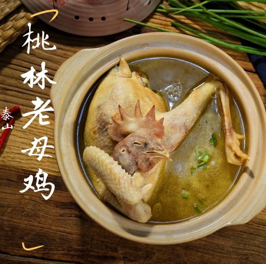 【泰山黄油老母鸡】肉质紧实，细嫩皮下脂肪少，鸡肉纤维更细—泰山肥城桃林慢养500天，林间栖息，食五谷肥桃，无激素无抗生素无兽残 纯良喂养食五谷肥桃，不喂饲料，孕妇小孩都可以放心吃 商品图7