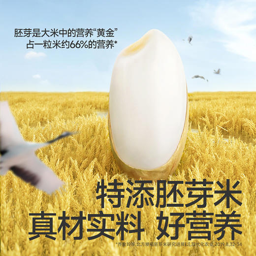 【⚡19.9秒杀 折5/袋】海苔/肉松满满小圆胚芽米饼 36g*4，可叠加店铺满赠，不叠加会员折扣，不叠加价购 商品图7