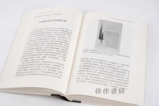 艺术史研究丛书：歌德与建筑艺术——艺术史读译札记 商品图4