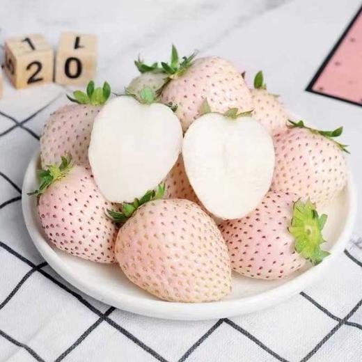 【邮政空运】草莓界的颜值天花板！淡雪白草莓，奶香蜜甜，一口沦陷！ 商品图0