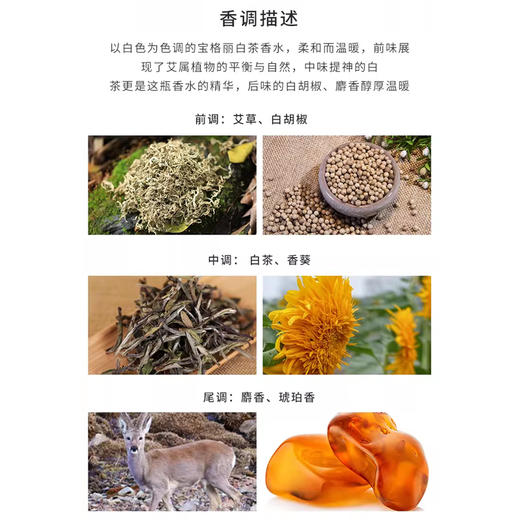 BVLGARI 宝格丽 白茶淡香 150ml (25年新版) 商品图1