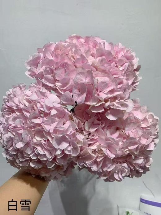 国产新品绣球合集 商品图7