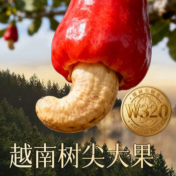 华味亨原味腰果仁450g/罐去衣无添加坚果炒货越南年货团购休闲零食 /休闲食品 /坚果炒货 /腰果 商品图5