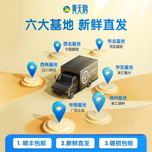 黄天鹅可生食鸡蛋 20枚 商品图4