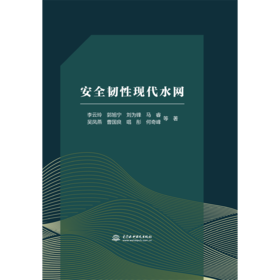 安全韧性现代水网