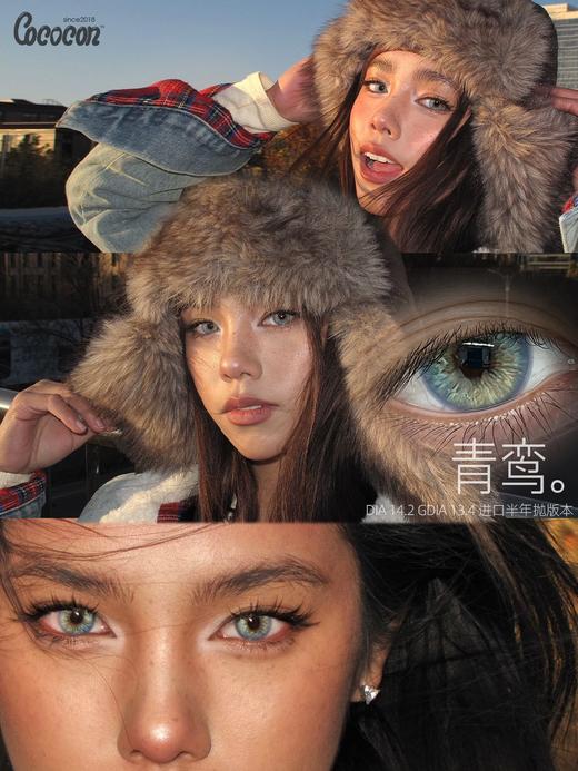 cococon半年抛 青鸾/苔原秘境 14.0-14.2mm 蓝绿色 好好看啊！ 商品图8