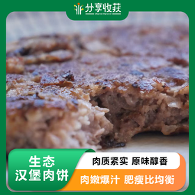 生态汉堡肉饼 | 生态食材 | 分享收获烘焙工作室 * Ecological Meat Pie