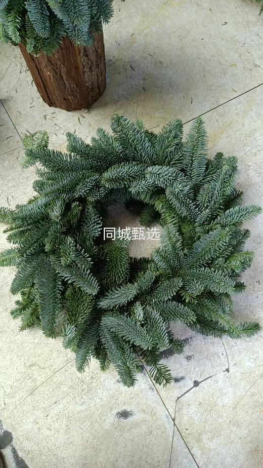 圣诞节诺贝松花环圣诞花环（裸圈）批发预定 商品图7
