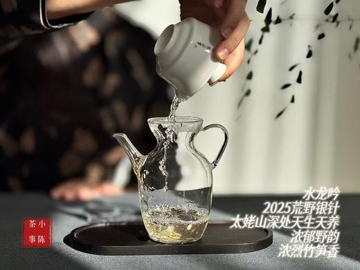 【家有好茶】2025荒野银针《水龙吟》，盛开在初春暖花中的碧水云天，野劲十足，野性十足！ 商品图7