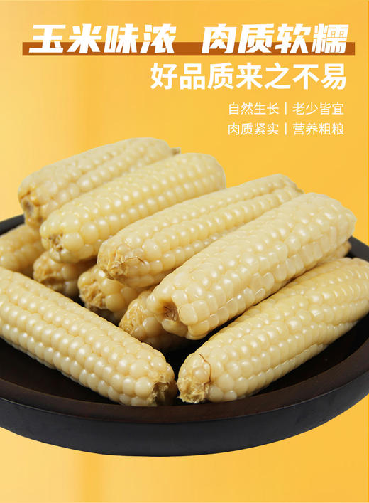  云南西双版纳的拇指小玉米 商品图1
