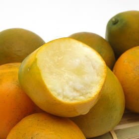 广西 融安脆蜜金柑1.5/3斤顺丰