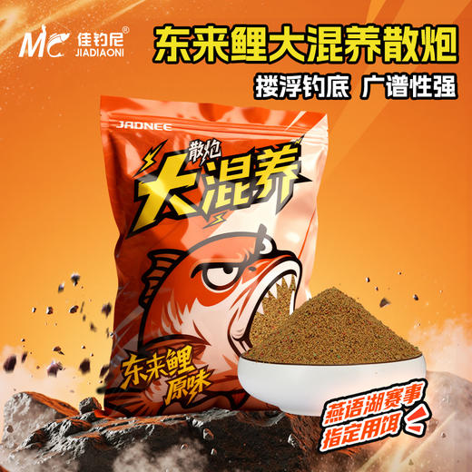 佳钓尼新款东来鲤大混养散炮鱼鲤鱼黑坑鱼饵用饵980g 商品图0