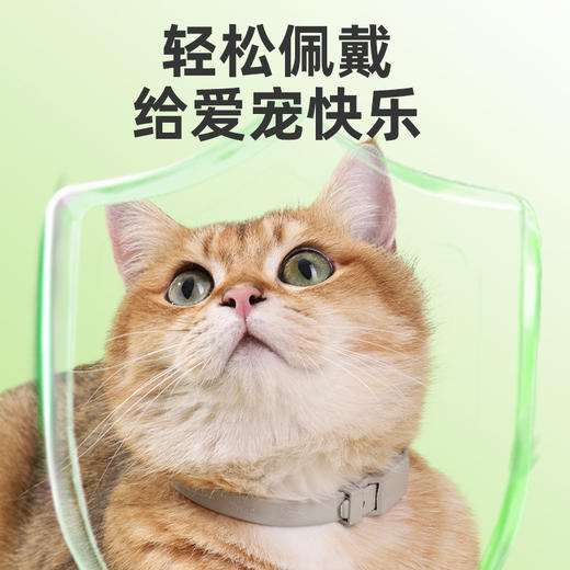 丽客宠物项圈可水洗猫咪项圈带调节扣狗狗颈圈宠物饰品结实耐用猫项圈【植物精油项圈】 商品图1