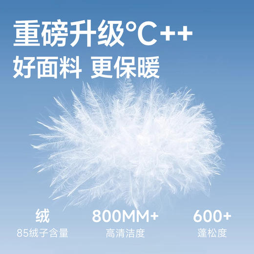 【DMH】大依优型大码男装冬季加厚长袖羽绒服外套商务休闲百搭羽绒服 商品图2