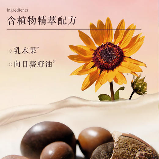 3253581776780 欧舒丹L'OCCITANE 全新中国限定绮梦樱花香氛护手霜30ML清爽保湿 商品图3