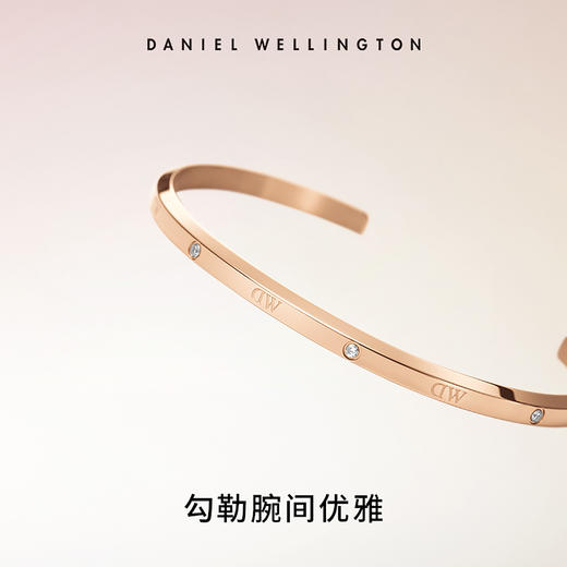 7315030051490 丹尼尔惠灵顿DANIEL WELLINGTON DW手镯|实心锆石镶嵌星辰系列手镯男女同款情侣手镯生日礼物【小号】 商品图3