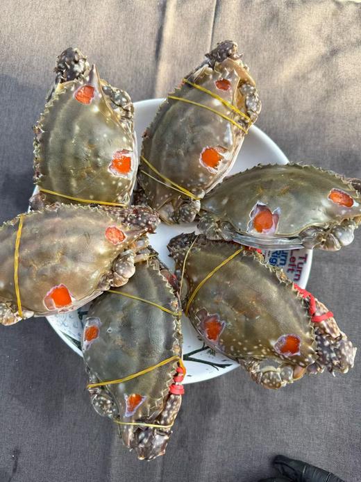 舟山红膏呛蟹礼包 商品图4