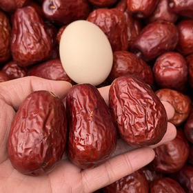 新疆天山枣王 包邮