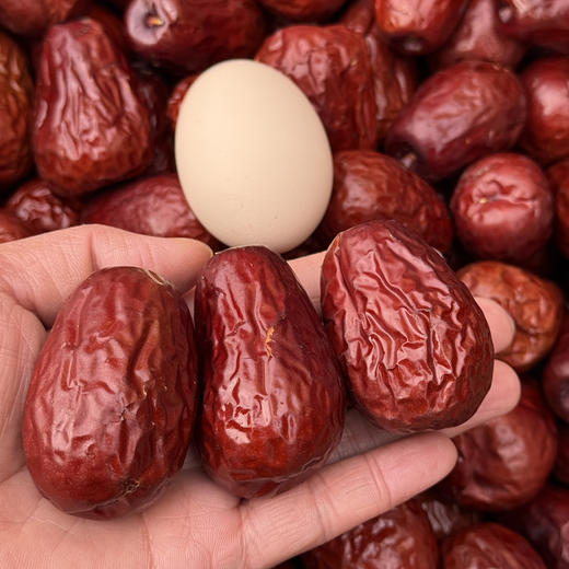 新疆天山枣王 包邮 商品图0