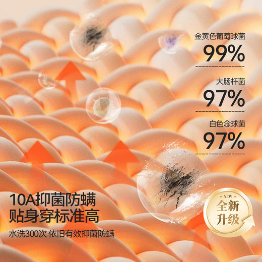 【E】【69元两套 单套不发】儿童醋酸&青少年羊绒抗菌保暖内衣套装 商品图3