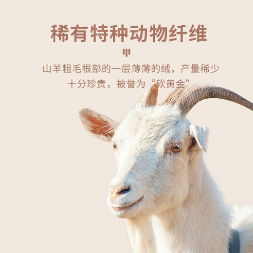 【羊绒蚕丝男女保暖套装】羊绒蚕丝  随心裁/包边可选 -15-5度 商品图2