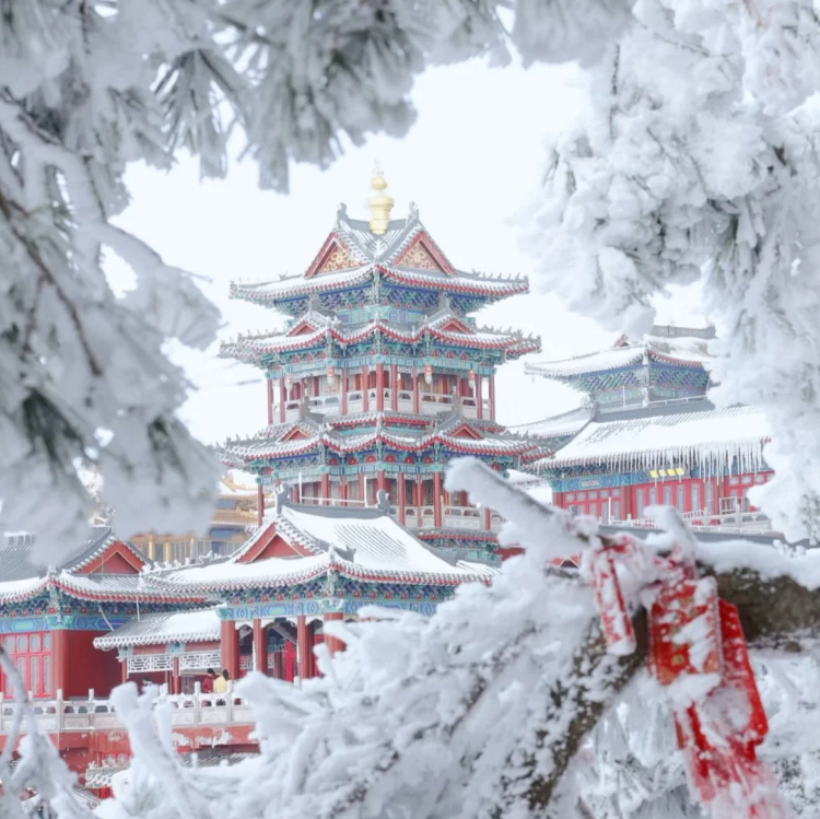 元旦3天【老君山930元】第一仙山の十三朝古都洛阳-汉服圣地洛邑古城-龙门石窟-白马寺小众精品纯玩团