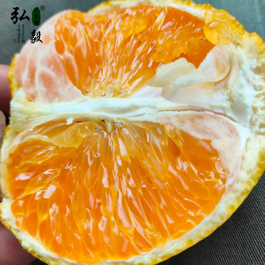 【弘毅六不用生态农场】六不用桔柚 阳光一号8.5斤/份 四川基地发货 商品图0