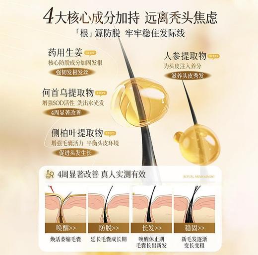 【多妈团购 黑姜防脱固发洗发露】掉发的都去用，真正防脱生发，最新国家防脱特证，满满的草本防脱精华，改善头皮环境，稳固毛囊，实现发亮逆袭-特购汇 商品图4