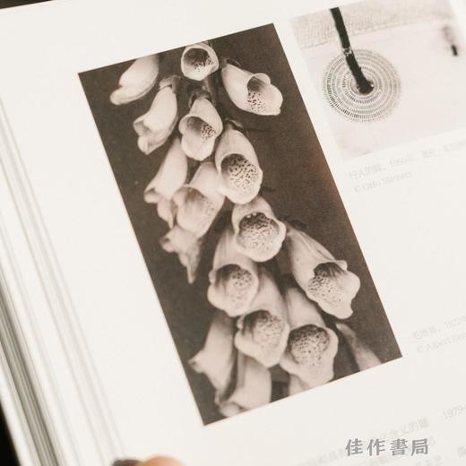 超越纪实摄影：世界著名当代摄影家的观念和实践 / 江融 著  商品图2