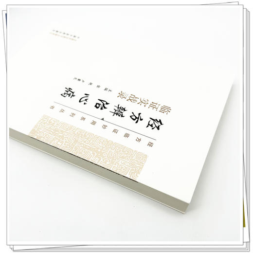 经方辨治心病临证实战录 经方临证妙用系列丛书 张艳 卢秉久 全书旨在为临床医师运用经方辨治心病提供实用指南 中国中医药出版社 商品图4