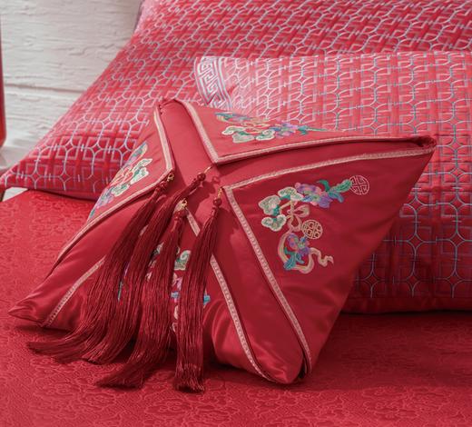 恐龙 单卖小抱枕连芯 小抱枕连芯 40*40*1 盖头55*55*1 商品图0