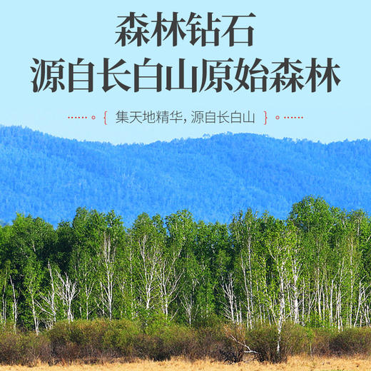 健养极物长白山桦褐孔菌桦树茸破壁超微粉50g*3罐 商品图2