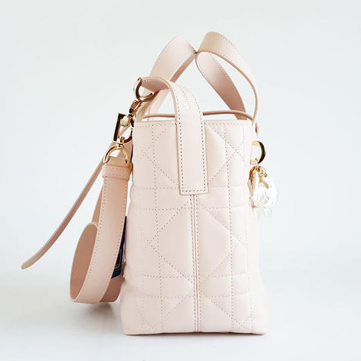 【闲置未使用】Dior迪奥Toujours小号粉色竖版土著Toujours手提单肩包女士211125AK18 商品图3