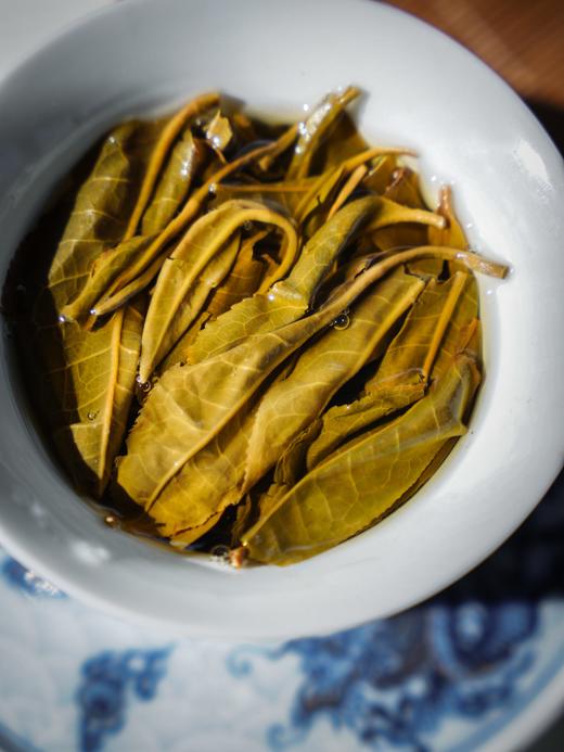 11月28日中午12点【天地龙鳞】2023年头春古树茶古寨春总制茶师超级力作连年爆卖，成为宣哥的一个超级符号，357克/饼 商品图1