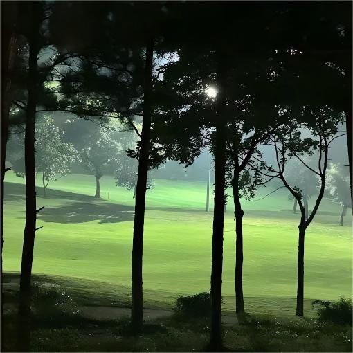 越南·潭岛高尔夫度假村 Tam Dao Golf & Resort | 河内高尔夫球场 | 越南高尔夫球场俱乐部 | 东南亚 商品图4