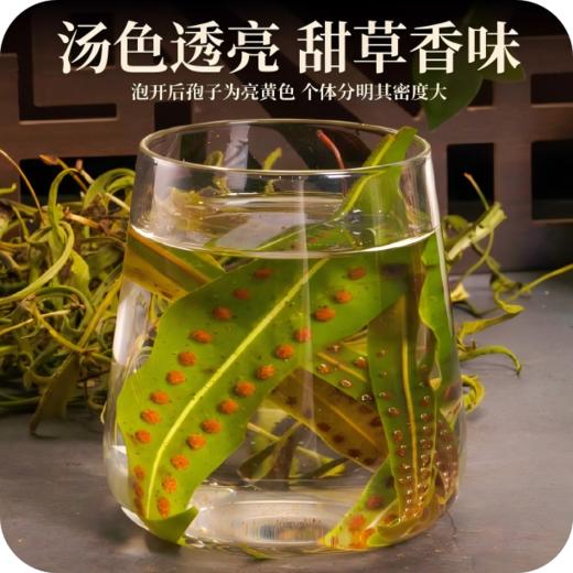 长白山肾精茶黄金草茶嗷嗷叫茶 商品图3