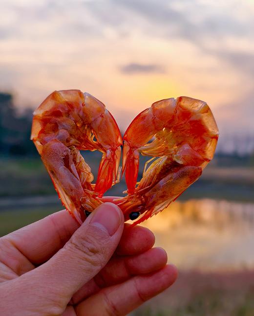 【食品 不支持7天无理由】牧小川盐田烤虾 | 酥香鲜美、越嚼越香、大小均匀、肉质紧实弹牙、自然风味 商品图2