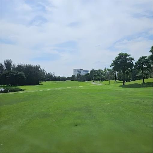 越南·双鸽高尔夫俱乐部 Twin Doves Golf Club | 胡志明高尔夫球场  | 越南高尔夫球场俱乐部  | 东南亚 商品图1