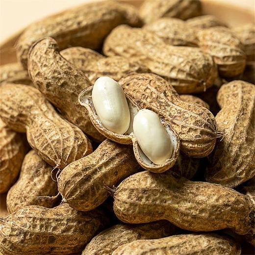 花生 500g 商品图3