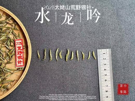 【家有好茶】2025荒野银针《水龙吟》，盛开在初春暖花中的碧水云天，野劲十足，野性十足！ 商品图2