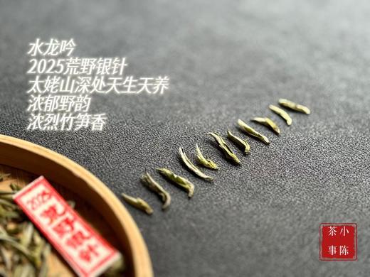 【家有好茶】2025荒野银针《水龙吟》，盛开在初春暖花中的碧水云天，野劲十足，野性十足！ 商品图1