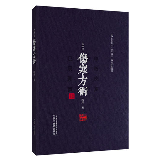 张仲景伤寒方术 路辉 著 仲景《伤寒杂病论》三阴三阳学术史 仲景伤寒日周期运气法 《伤寒论》的三百九十七法 中国中医药出版社 商品图1