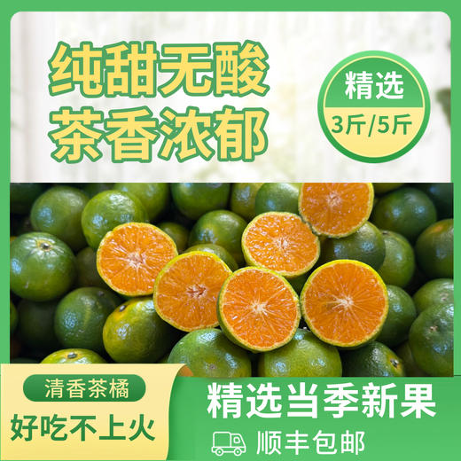 清香茶橘 能吃出清新茶香的橘子 柑橘界的新宠 鲜嫩香甜爆汁 好吃还不上火  商品图1