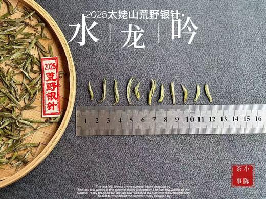 【家有好茶】2025荒野银针《水龙吟》，盛开在初春暖花中的碧水云天，野劲十足，野性十足！ 商品图2