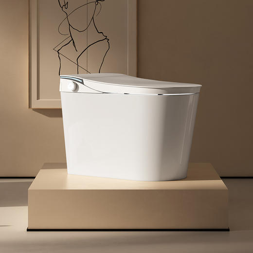 帝王全智能马桶TA050 商品图0