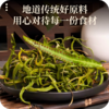 长白山肾精茶黄金草茶嗷嗷叫茶 商品缩略图1