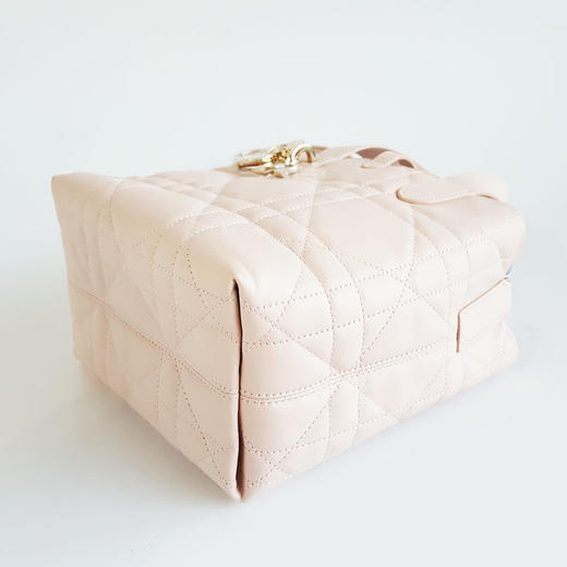 【闲置未使用】Dior迪奥Toujours小号粉色竖版土著Toujours手提单肩包女士211125AK18 商品图7